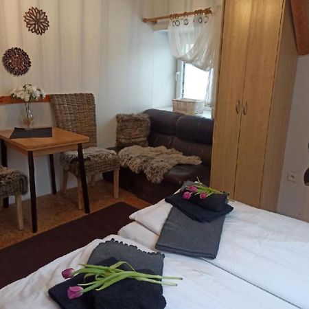Apartmany Ziakova - Ubytovani Nove Hrady 111 외부 사진