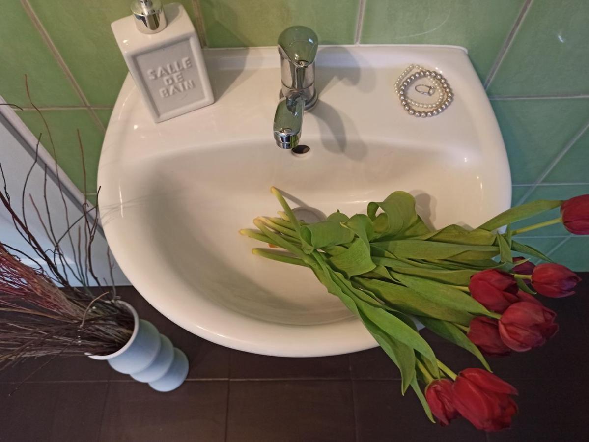 Apartmany Ziakova - Ubytovani Nove Hrady 111 외부 사진