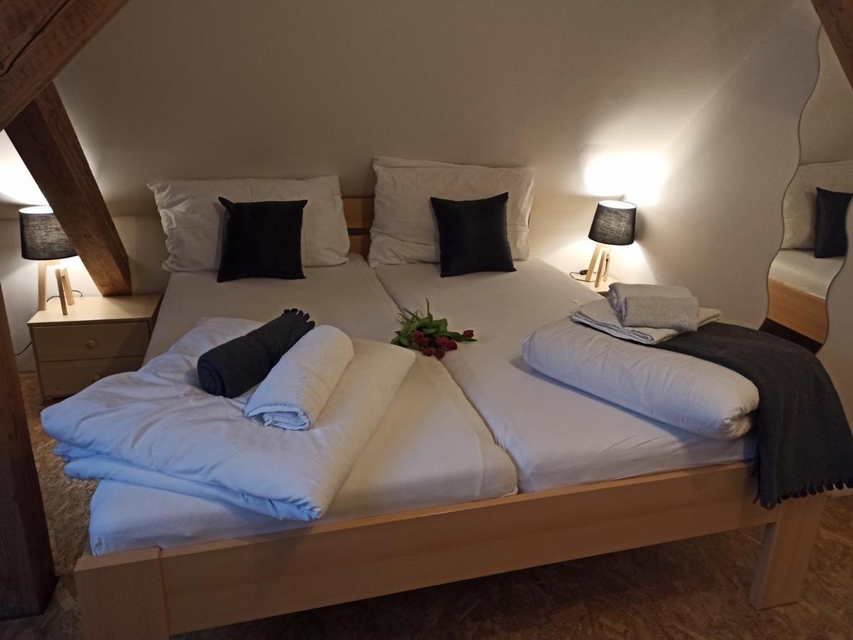 Apartmany Ziakova - Ubytovani Nove Hrady 111 외부 사진