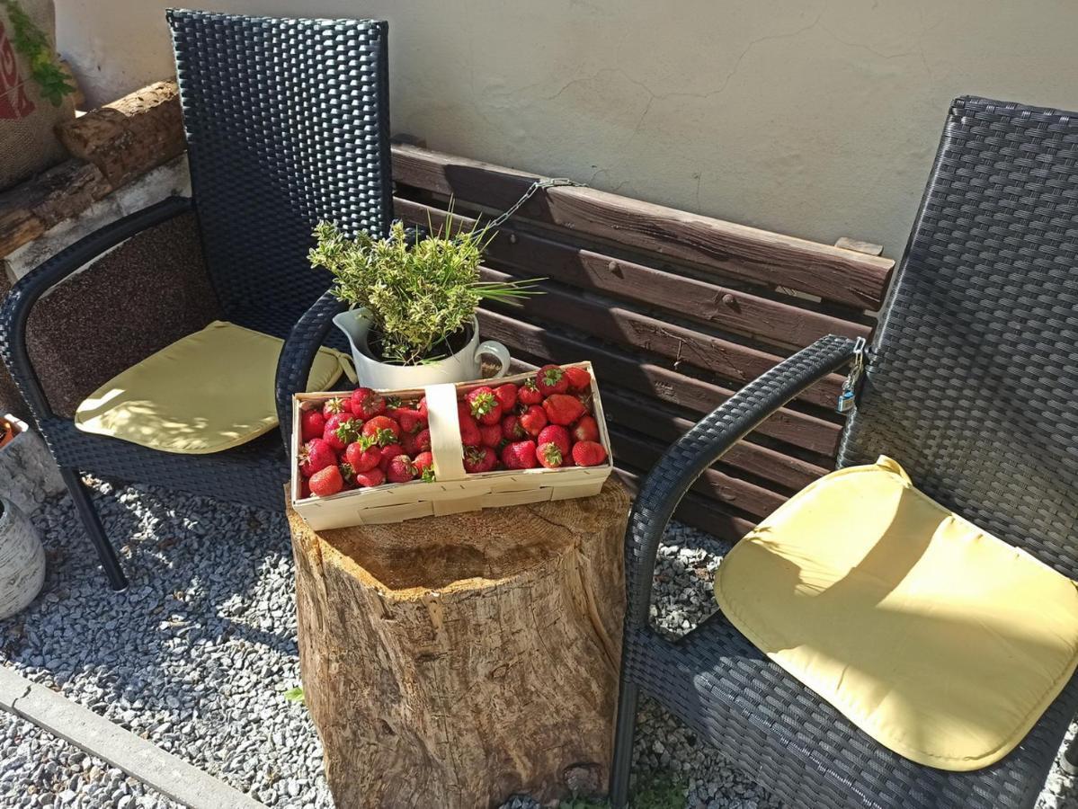 Apartmany Ziakova - Ubytovani Nove Hrady 111 외부 사진