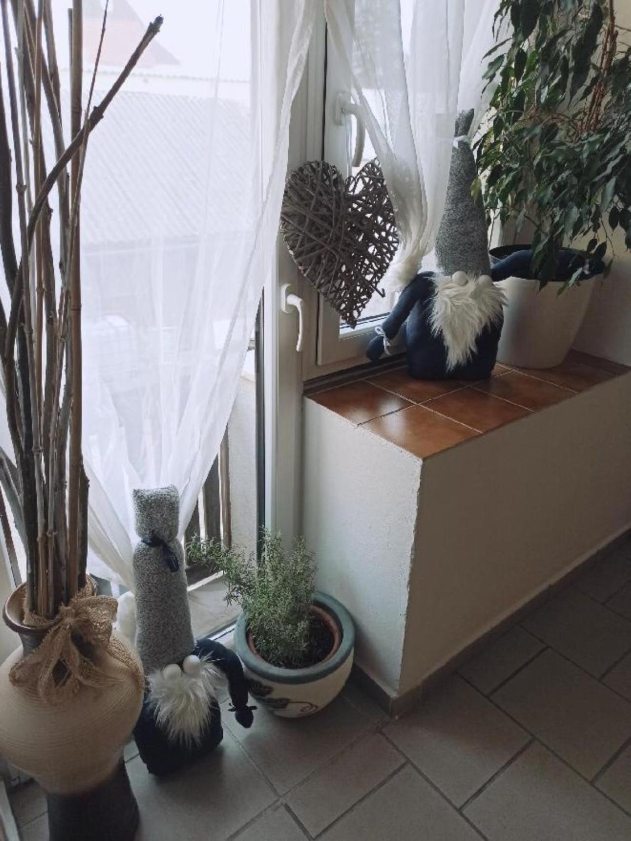 Apartmany Ziakova - Ubytovani Nove Hrady 111 외부 사진